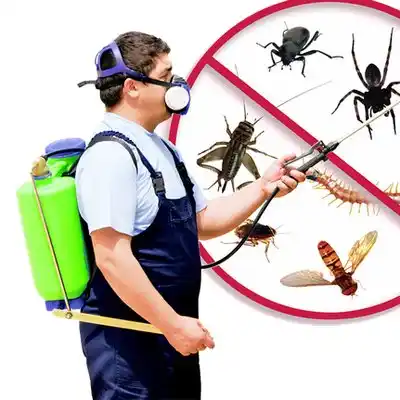 pest control Gulf Hills